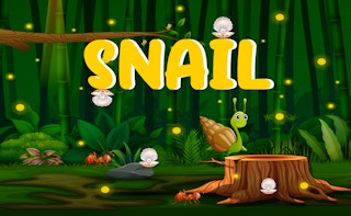 Image Snail Run